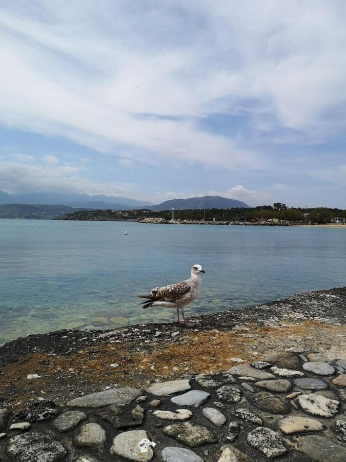 Blue Paradise Home Marathi  Dış mekan fotoğraf